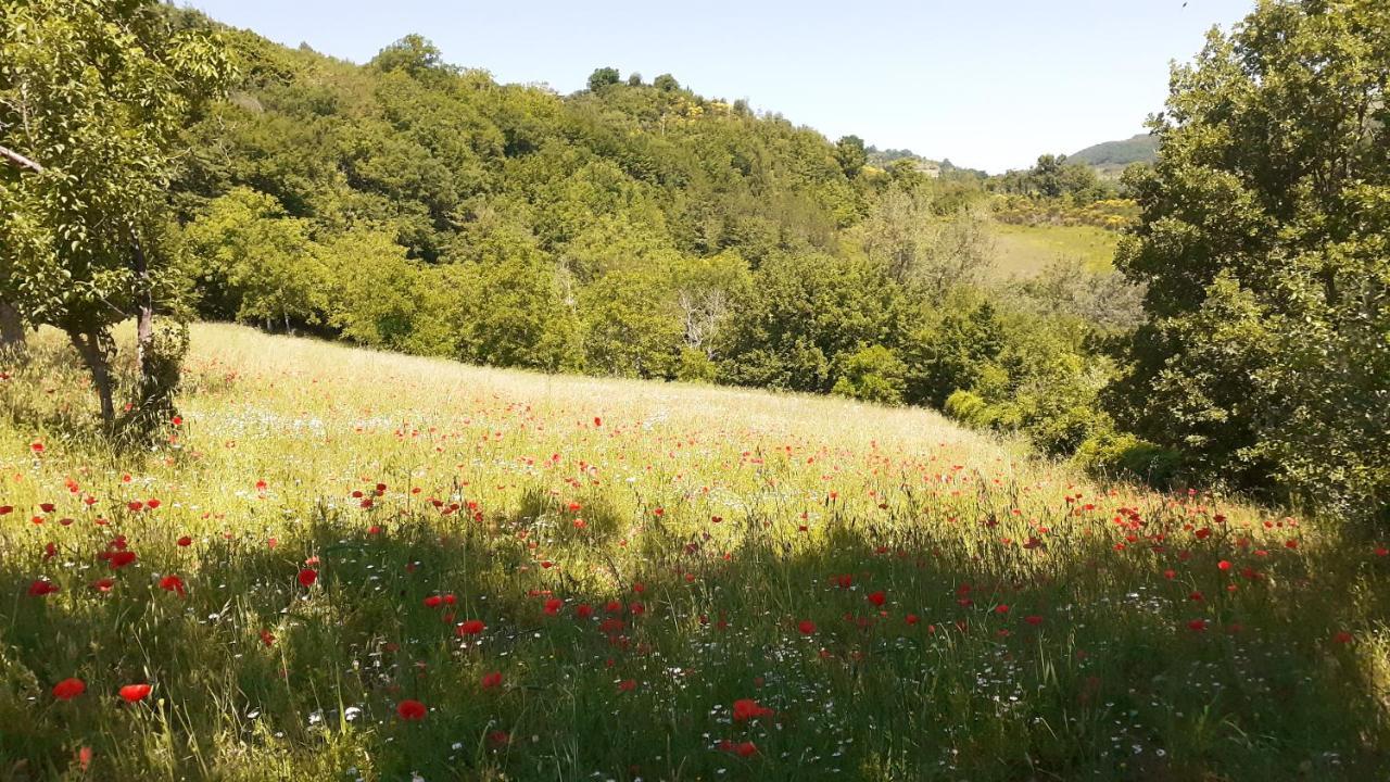 Agriturismo Marcofrate, A Retreat In The Nature Valtopina Bagian luar foto