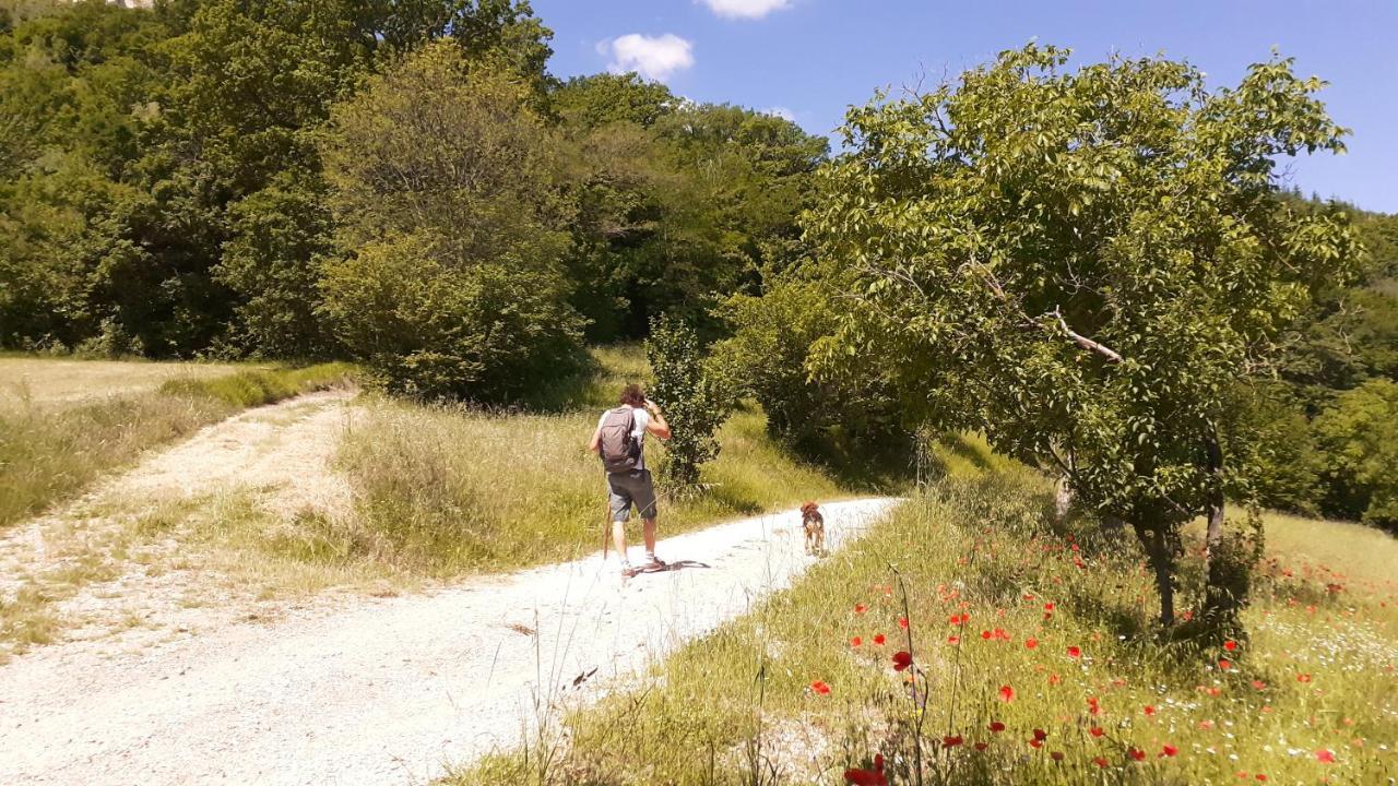 Agriturismo Marcofrate, A Retreat In The Nature Valtopina Bagian luar foto